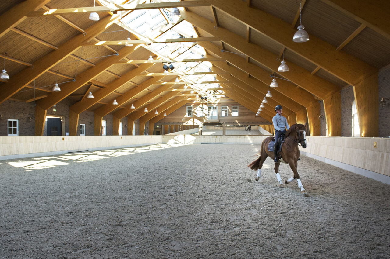 Persoon op paard rijdt in de rijbak